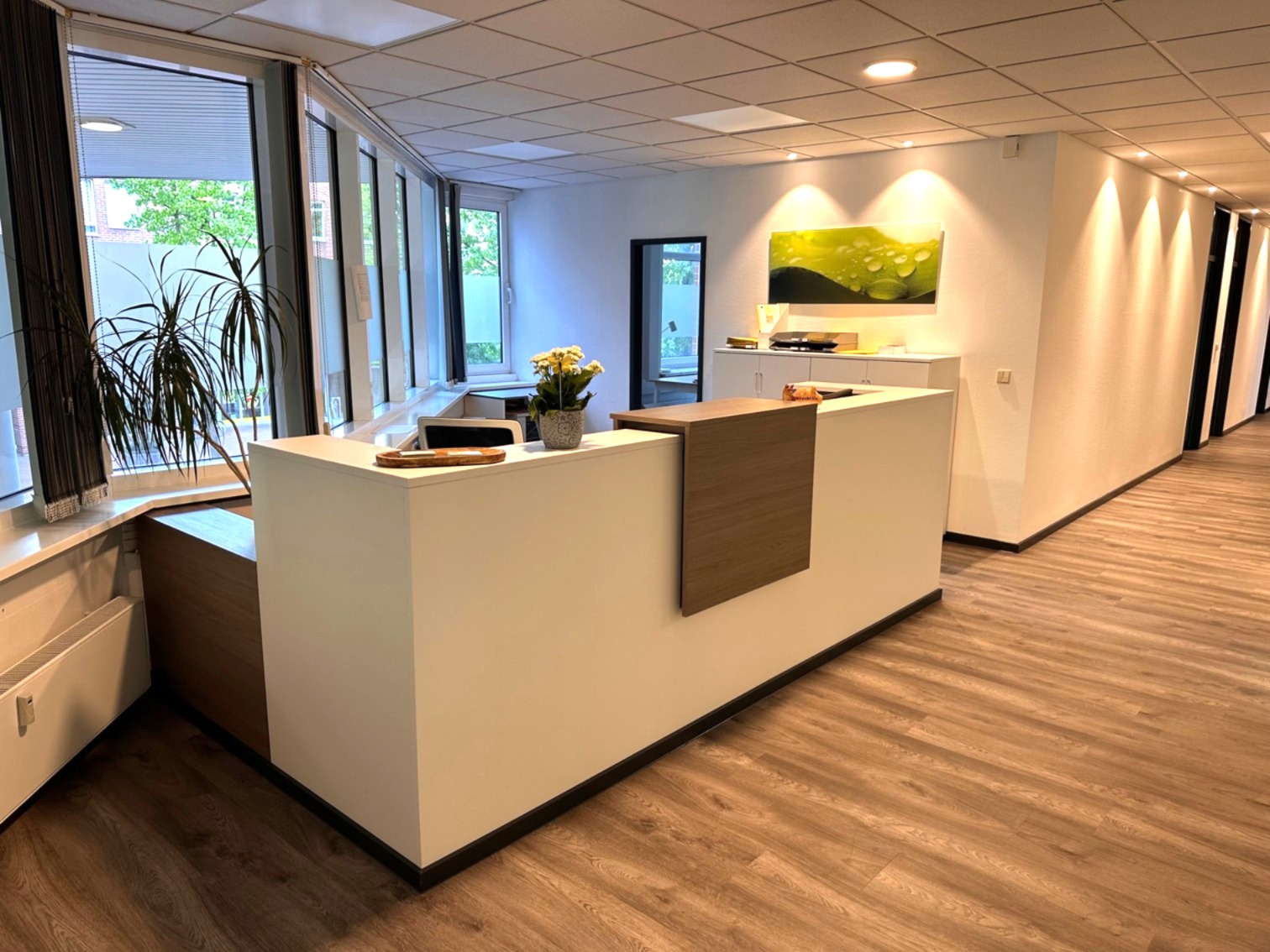 Moderne Rezeption