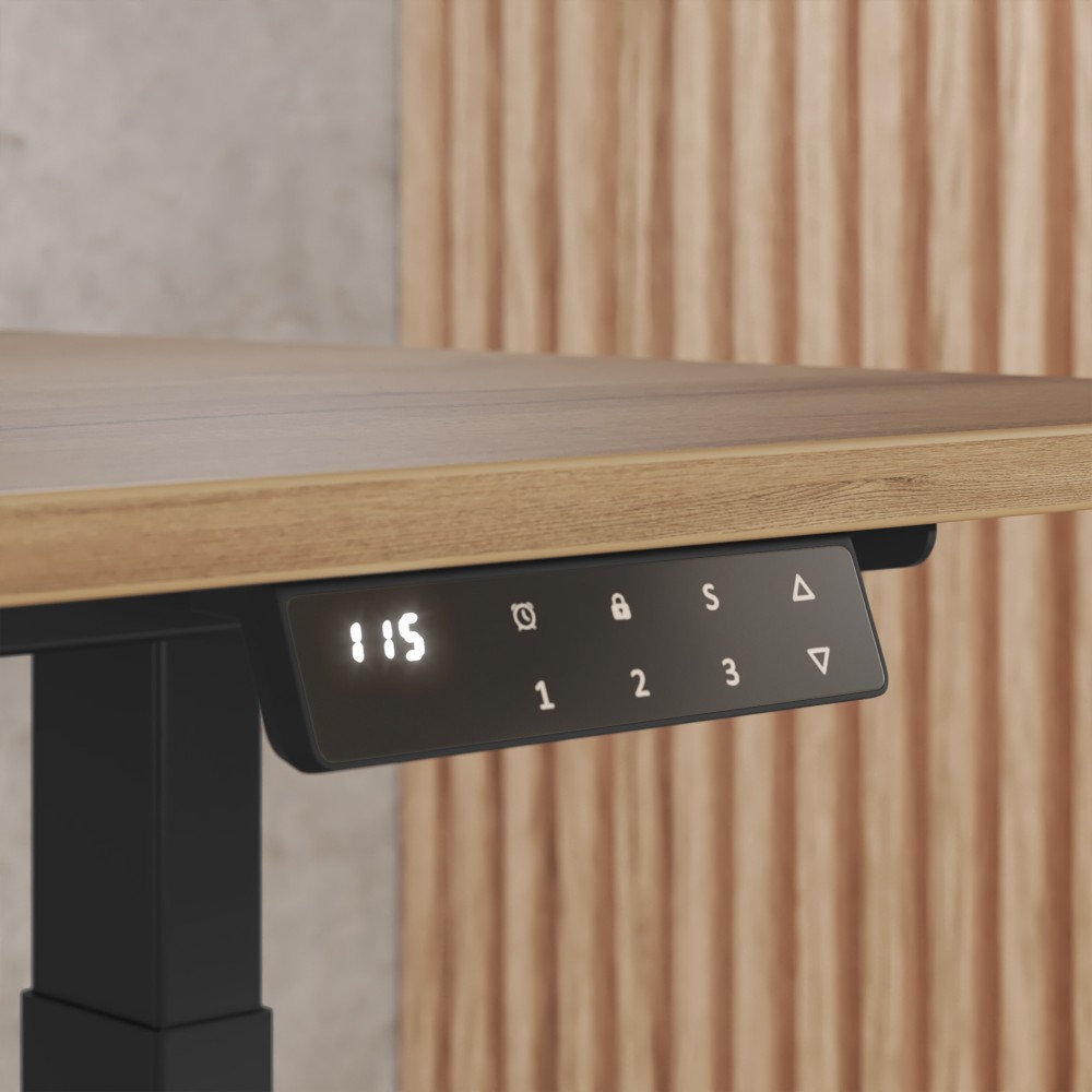 Zenit Steuerungseinheit