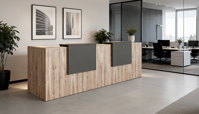 Muebles de recepción